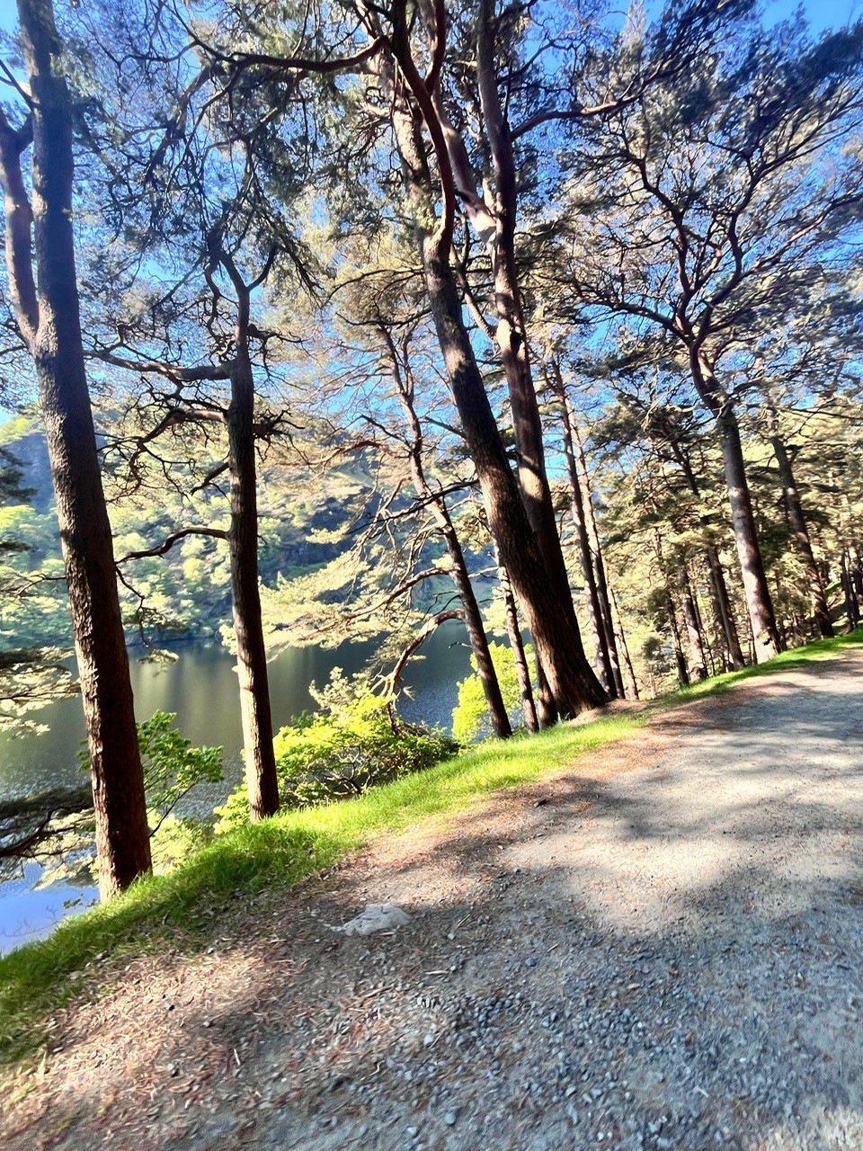 Glendalough, Wicklow (2025) photo 6