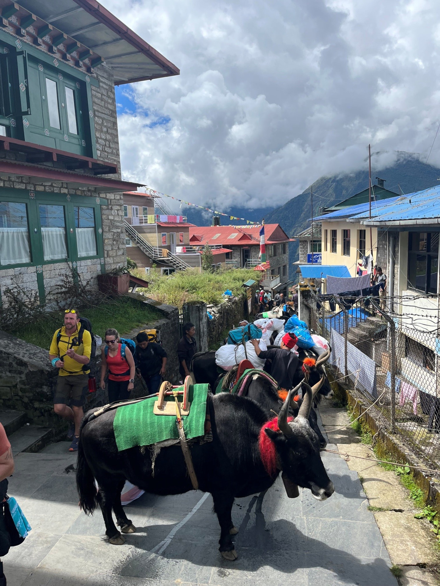 Island Peak, Nepal (2023) photo 5