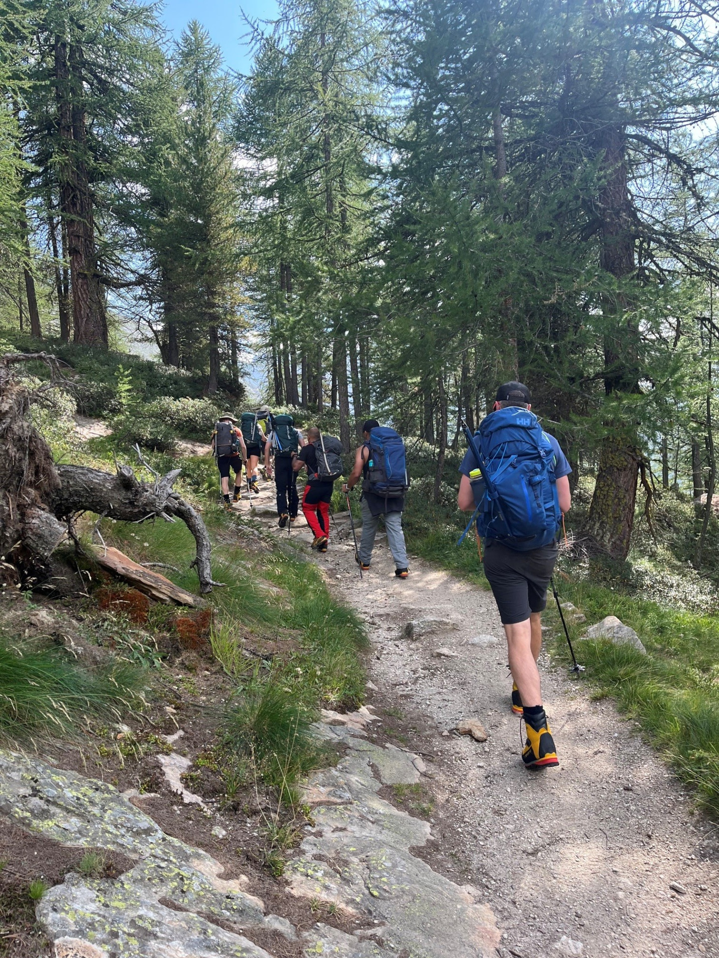 Gran Paradiso, Italy (2024) photo 3