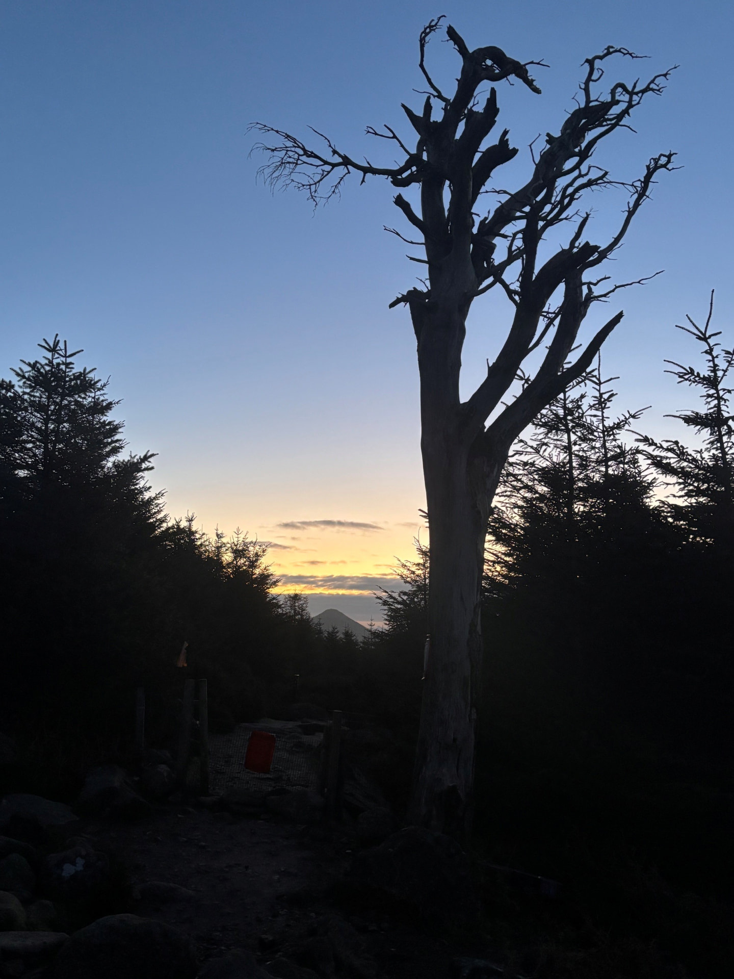 Wicklow (2026) photo 10