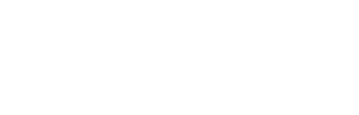basis.point logo