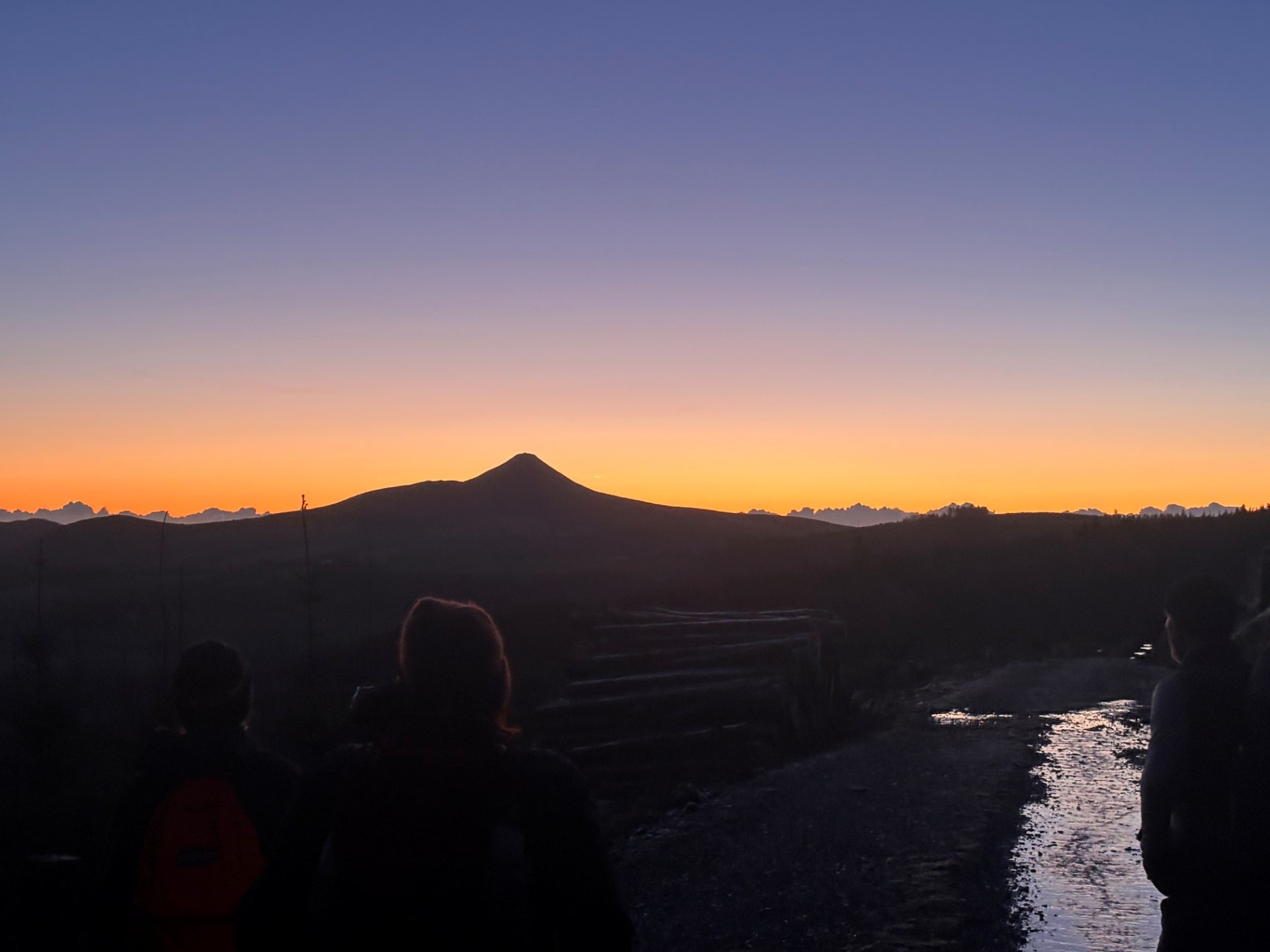 Wicklow (2026) photo 4